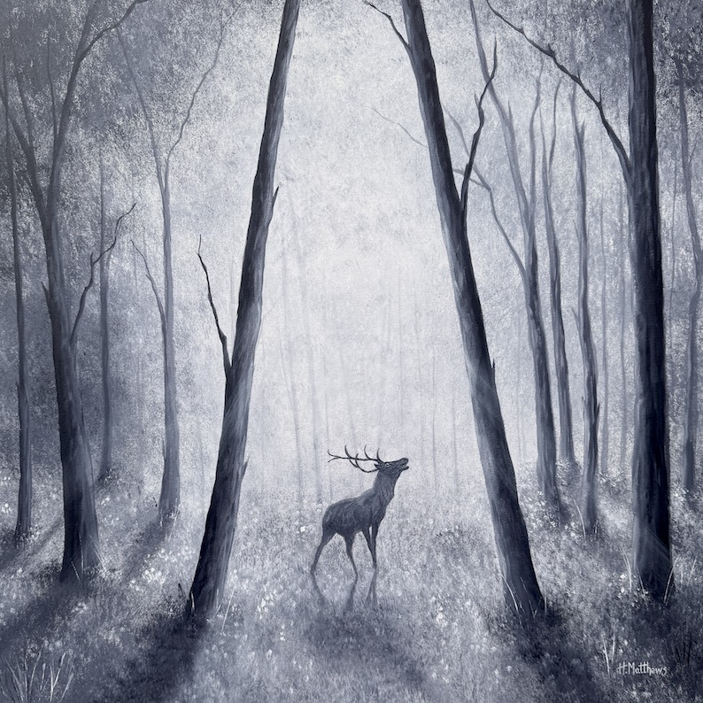'Wild!'